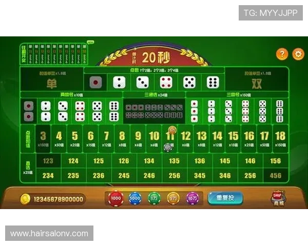 尊龙新版押注规则详细说明，助你在游戏中稳操胜券